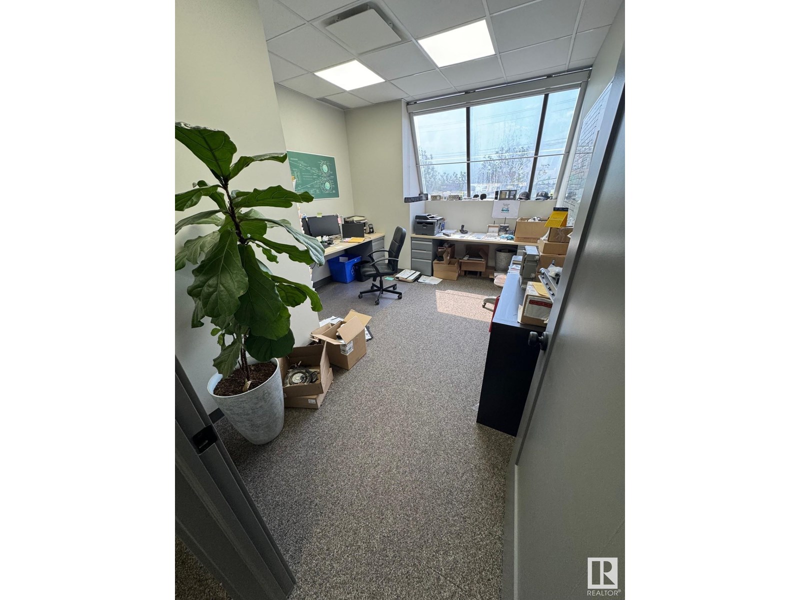 15622 116 Av Nw Nw, Edmonton, Alberta  T5M 3S5 - Photo 8 - E4442128