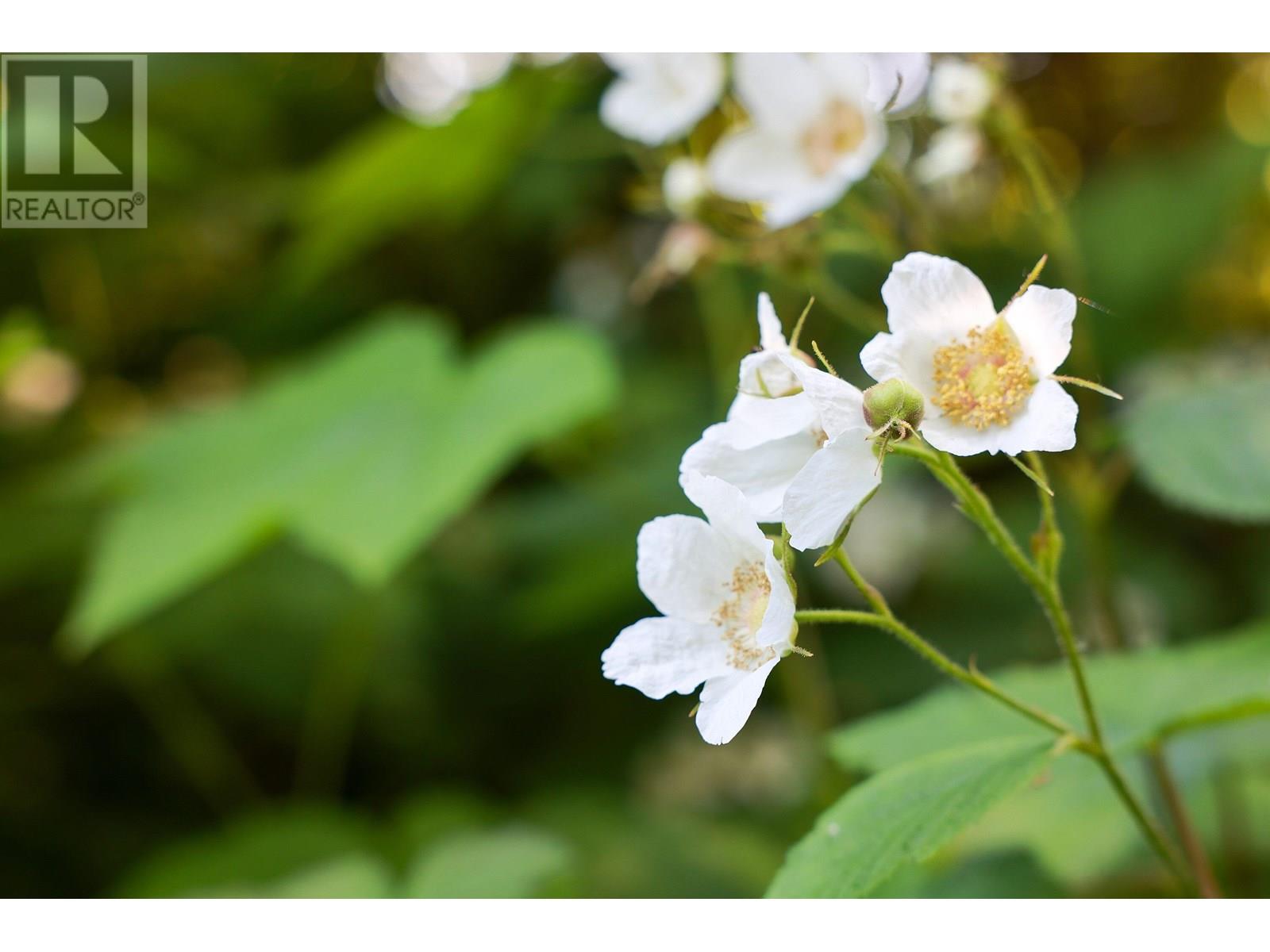 3779 River Drive, Terrace, British Columbia  V8G 3N8 - Photo 17 - C8070004