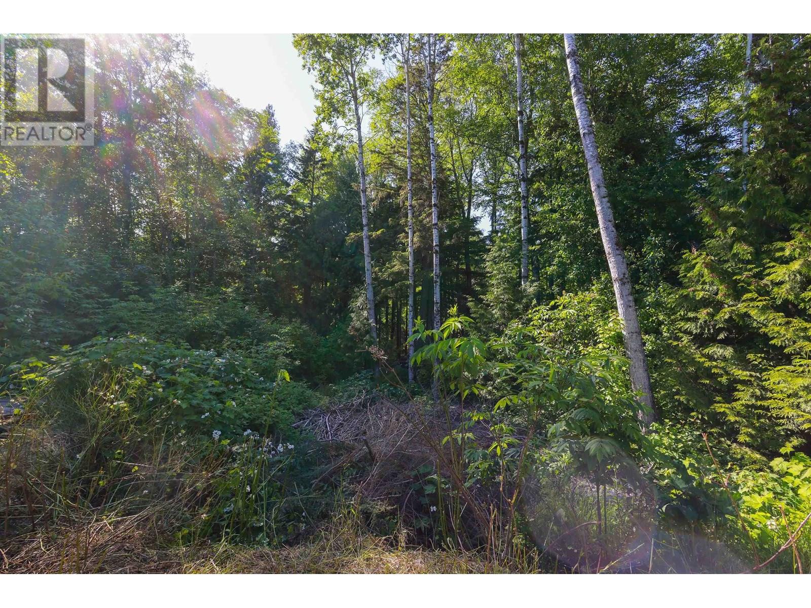 3779 River Drive, Terrace, British Columbia  V8G 3N8 - Photo 24 - C8070004