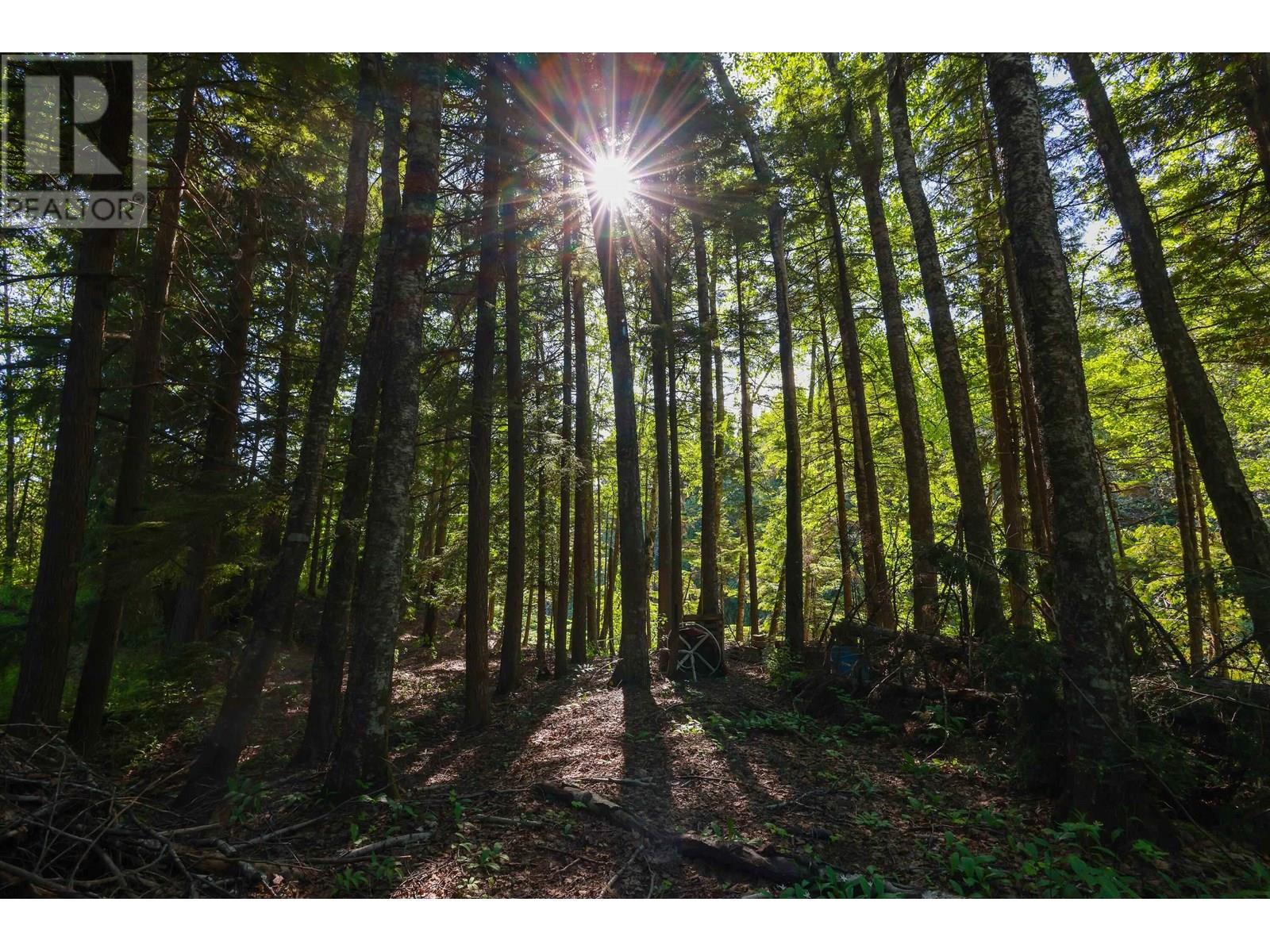 3779 River Drive, Terrace, British Columbia  V8G 3N8 - Photo 25 - C8070004