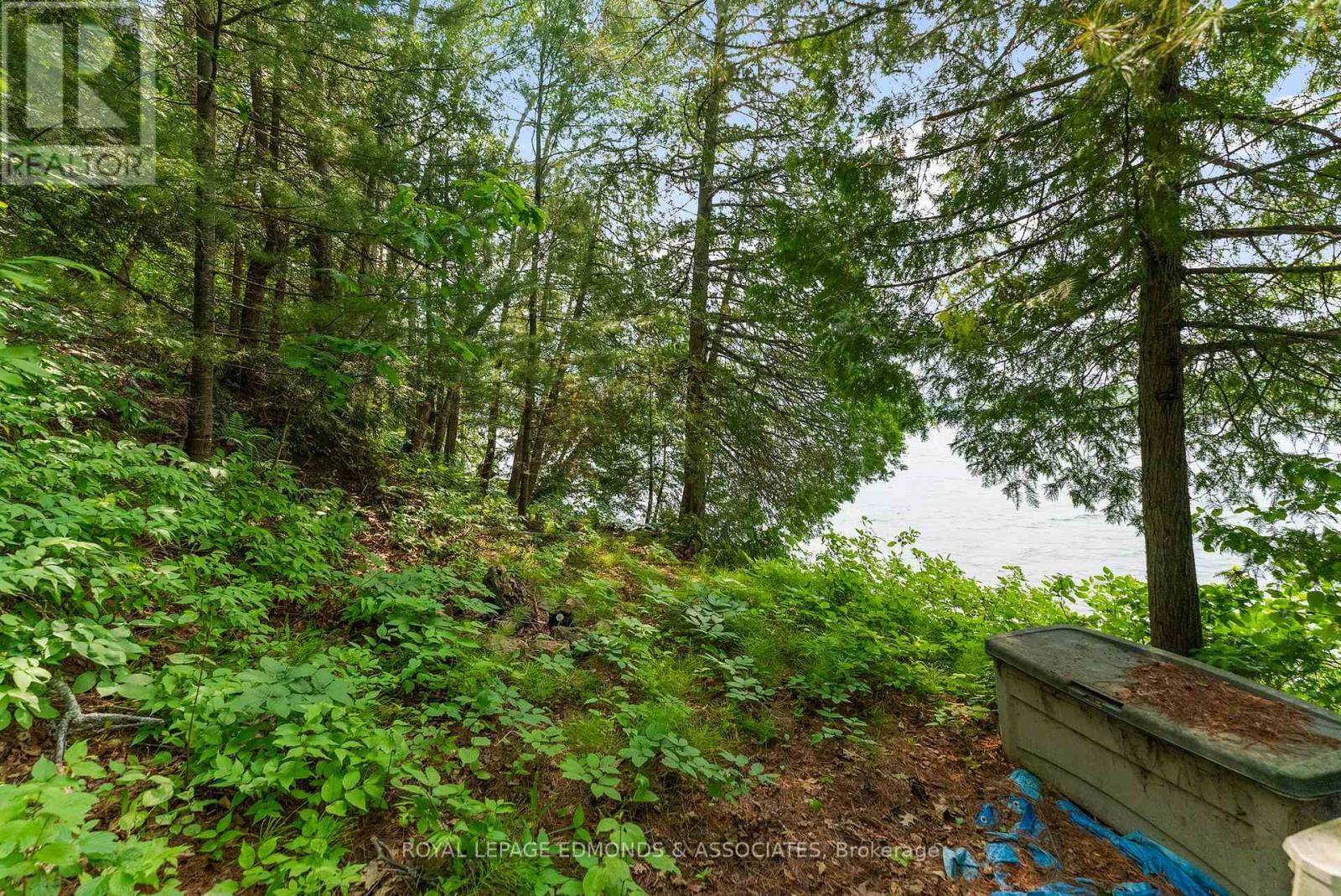 0 Lake Clear Road, Bonnechere Valley, Ontario  K0J 1T0 - Photo 19 - X12220107