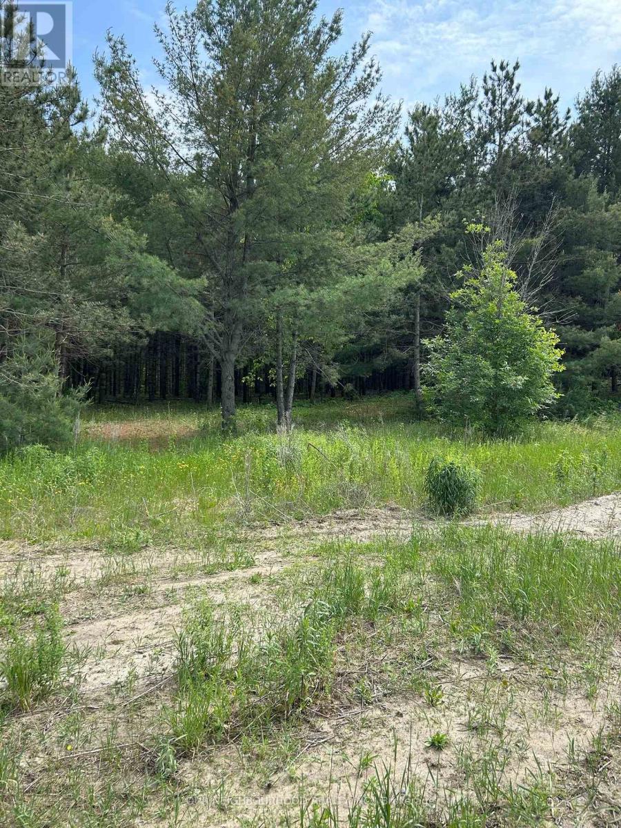 00 Pinewood School Road, Cramahe, Ontario  K0K 1M0 - Photo 16 - X12220200