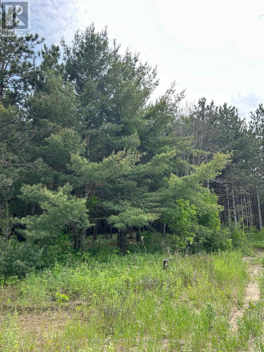 00 Pinewood School Road, Cramahe, Ontario  K0K 1M0 - Photo 17 - X12220200