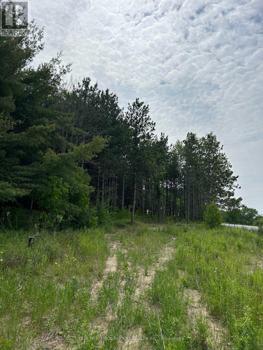 00 Pinewood School Road, Cramahe, Ontario  K0K 1M0 - Photo 4 - X12220200