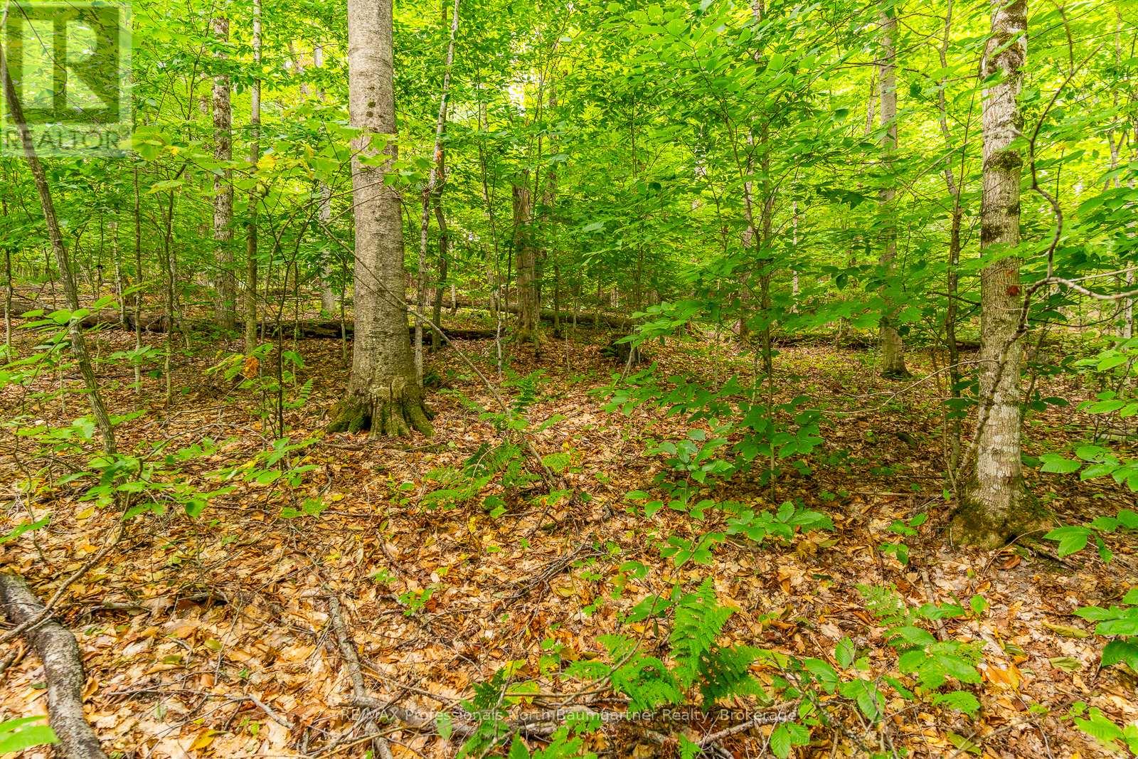 0 Adeline Trail, Dysart Et Al (Guilford), Ontario  K0M 1S0 - Photo 10 - X12220289