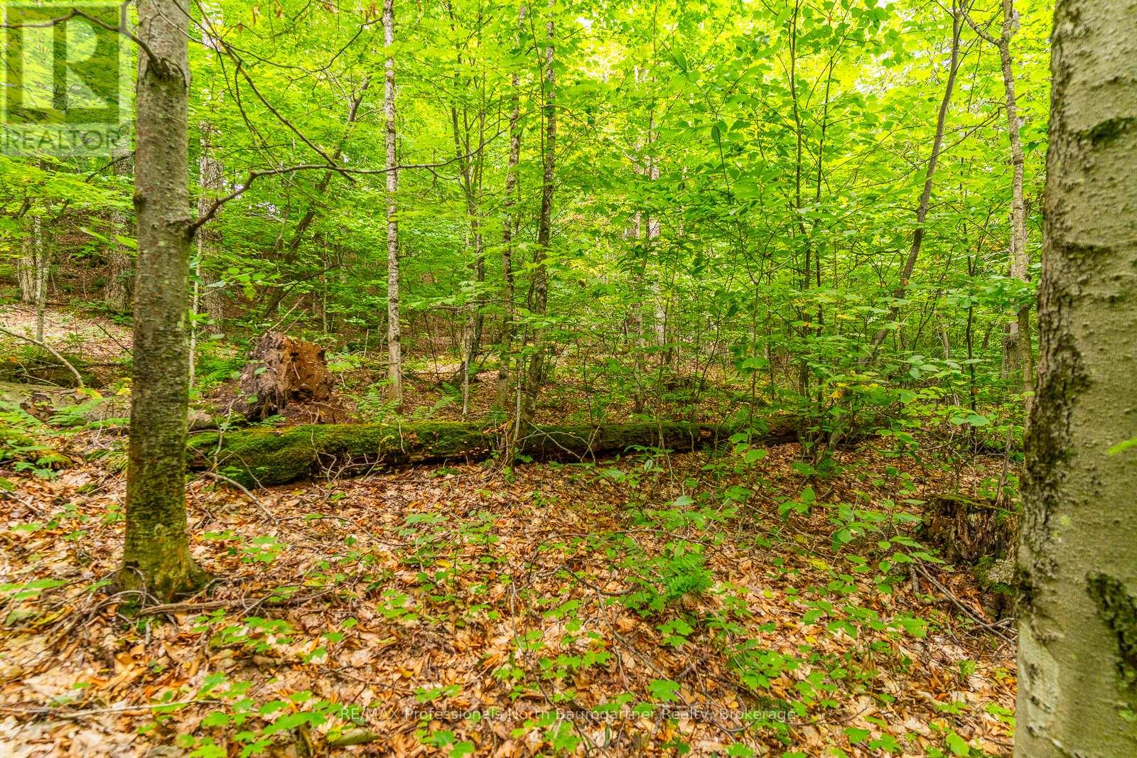 0 Adeline Trail, Dysart Et Al (Guilford), Ontario  K0M 1S0 - Photo 11 - X12220289