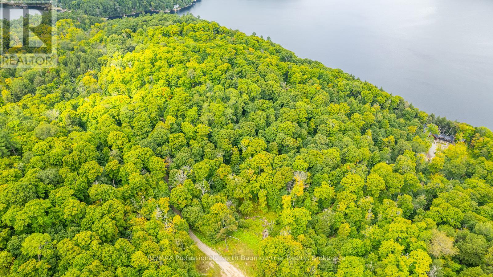 0 Adeline Trail, Dysart Et Al (Guilford), Ontario  K0M 1S0 - Photo 13 - X12220289