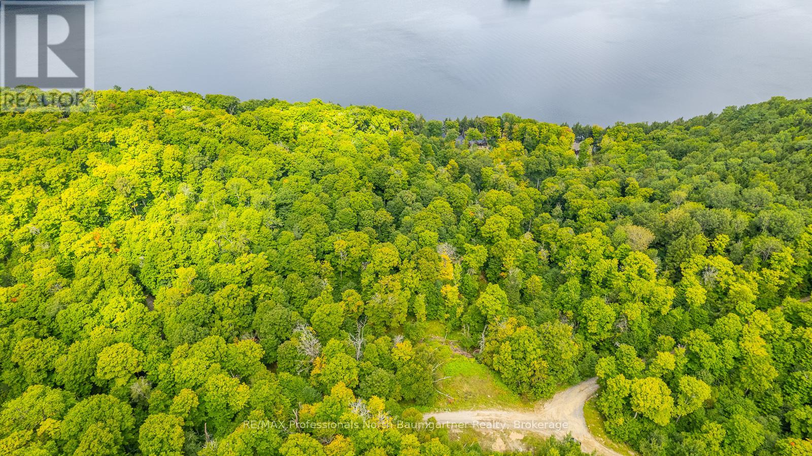 0 Adeline Trail, Dysart Et Al (Guilford), Ontario  K0M 1S0 - Photo 14 - X12220289