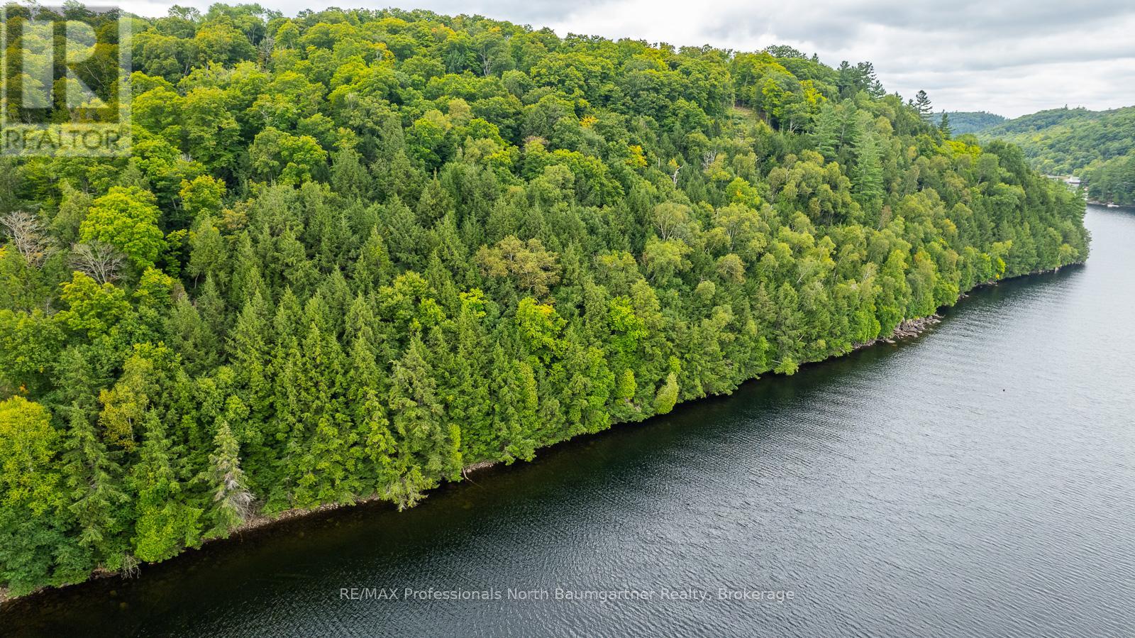 0 Adeline Trail, Dysart Et Al (Guilford), Ontario  K0M 1S0 - Photo 19 - X12220289