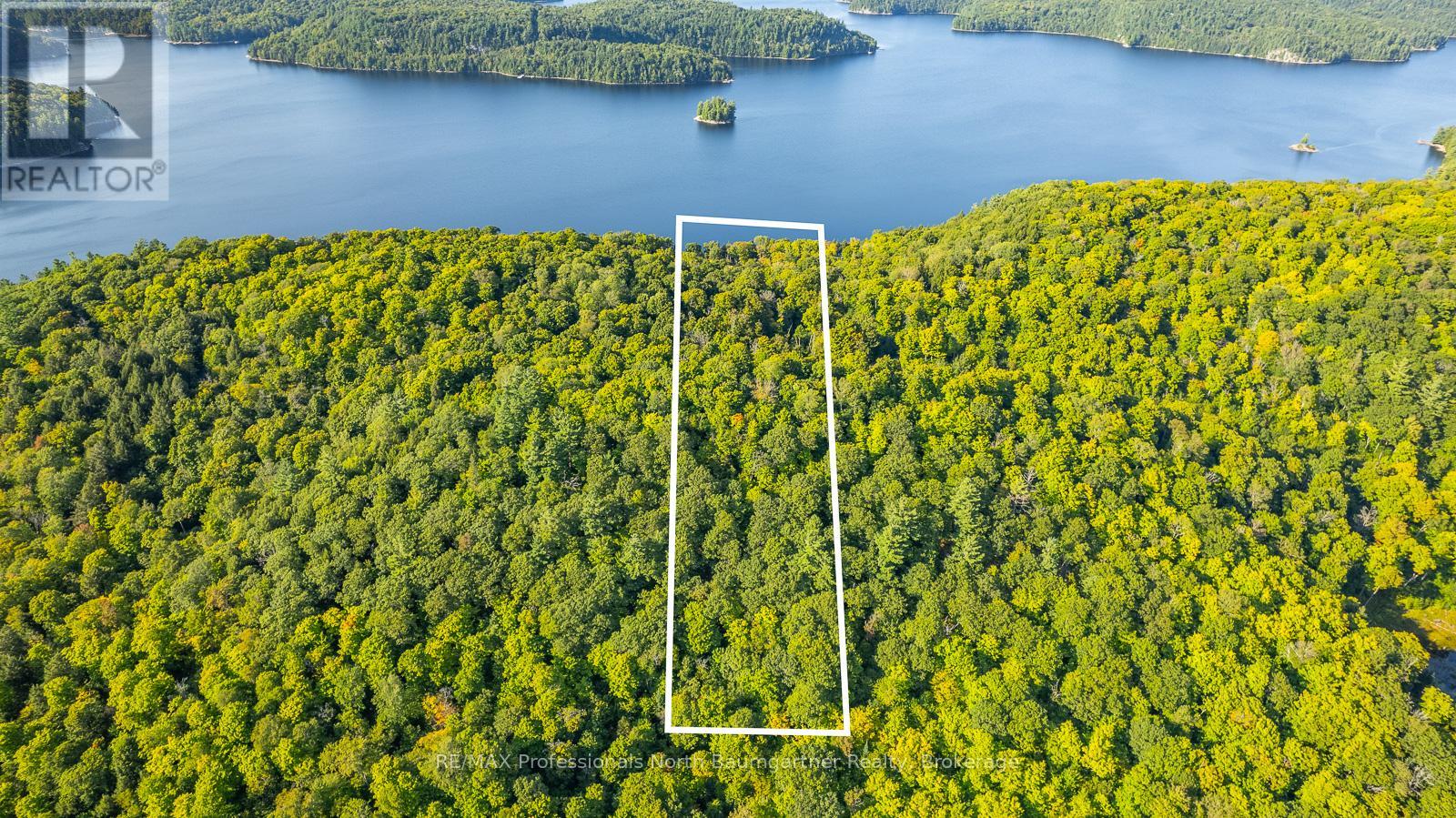 0 Adeline Trail, Dysart Et Al (Guilford), Ontario  K0M 1S0 - Photo 2 - X12220289