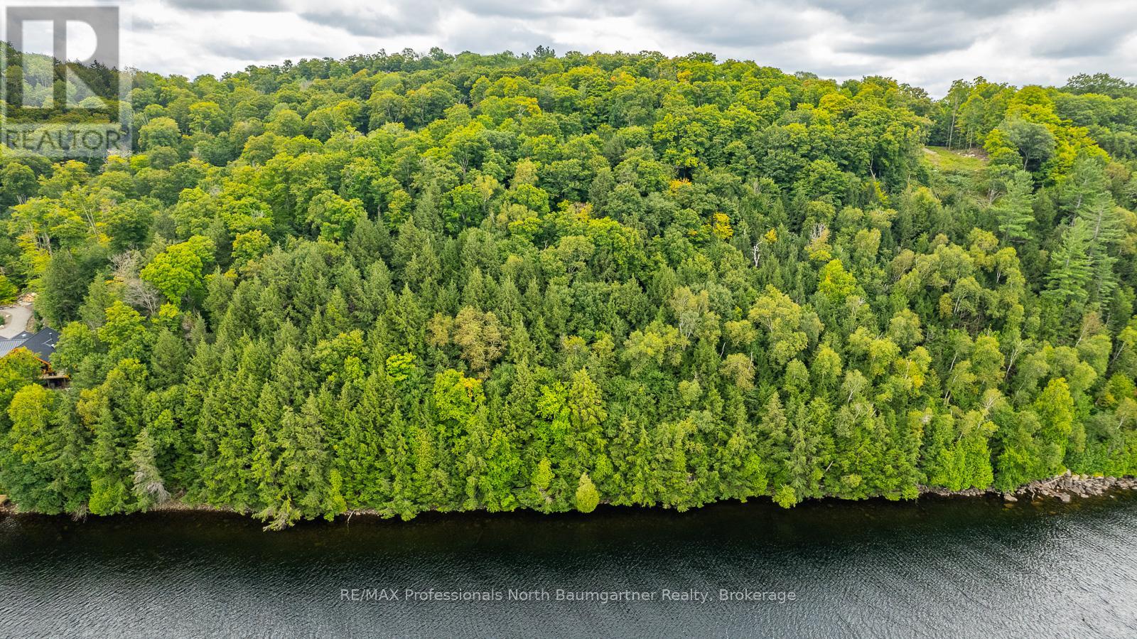 0 Adeline Trail, Dysart Et Al (Guilford), Ontario  K0M 1S0 - Photo 20 - X12220289