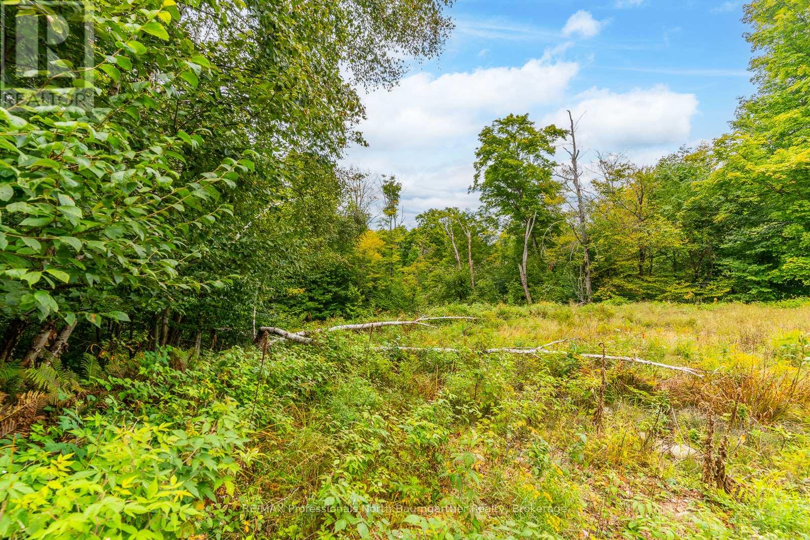 0 Adeline Trail, Dysart Et Al (Guilford), Ontario  K0M 1S0 - Photo 4 - X12220289