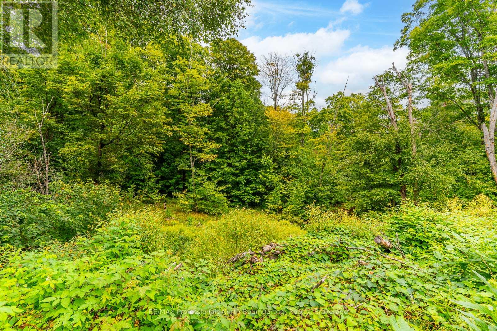 0 Adeline Trail, Dysart Et Al (Guilford), Ontario  K0M 1S0 - Photo 5 - X12220289