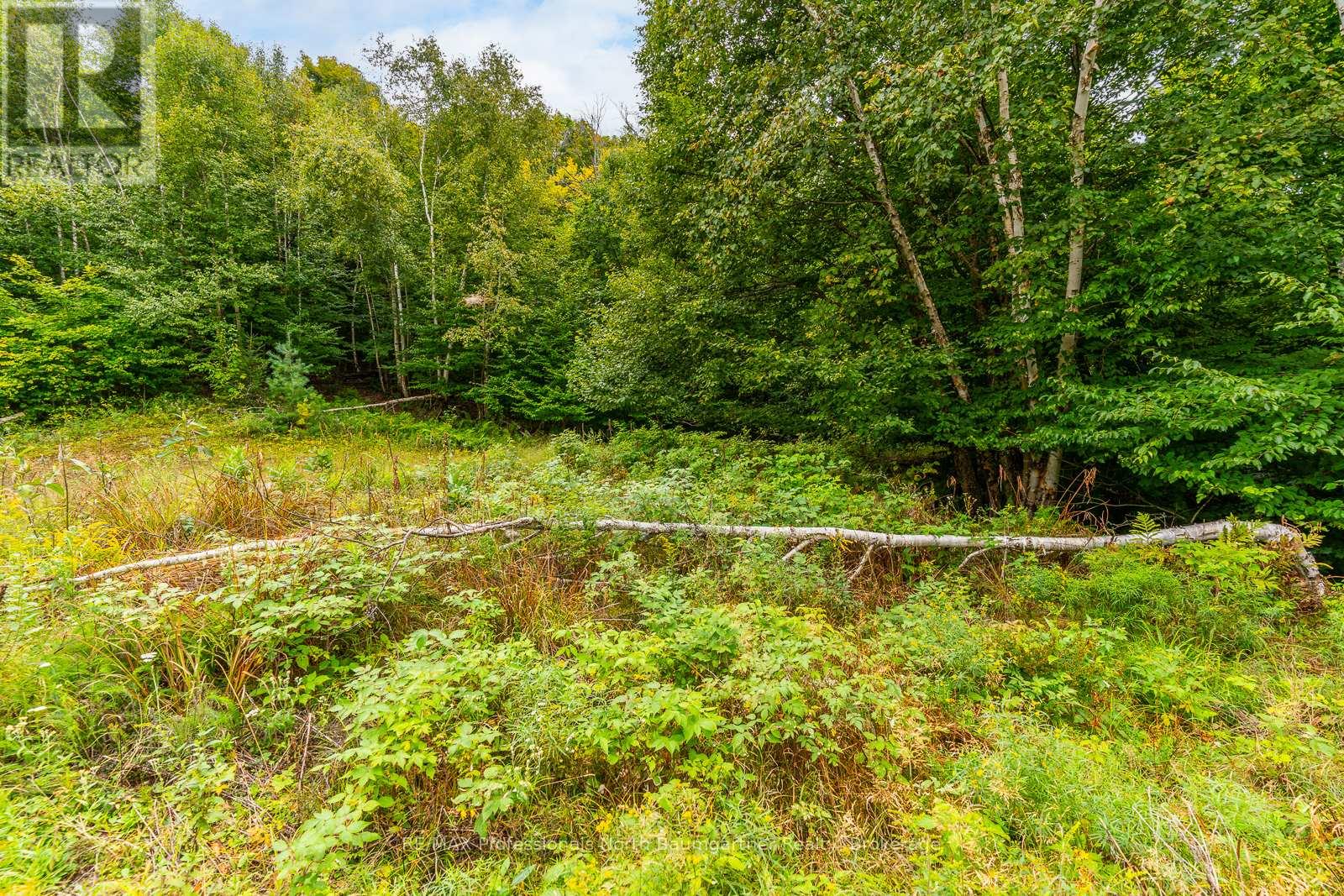 0 Adeline Trail, Dysart Et Al (Guilford), Ontario  K0M 1S0 - Photo 6 - X12220289
