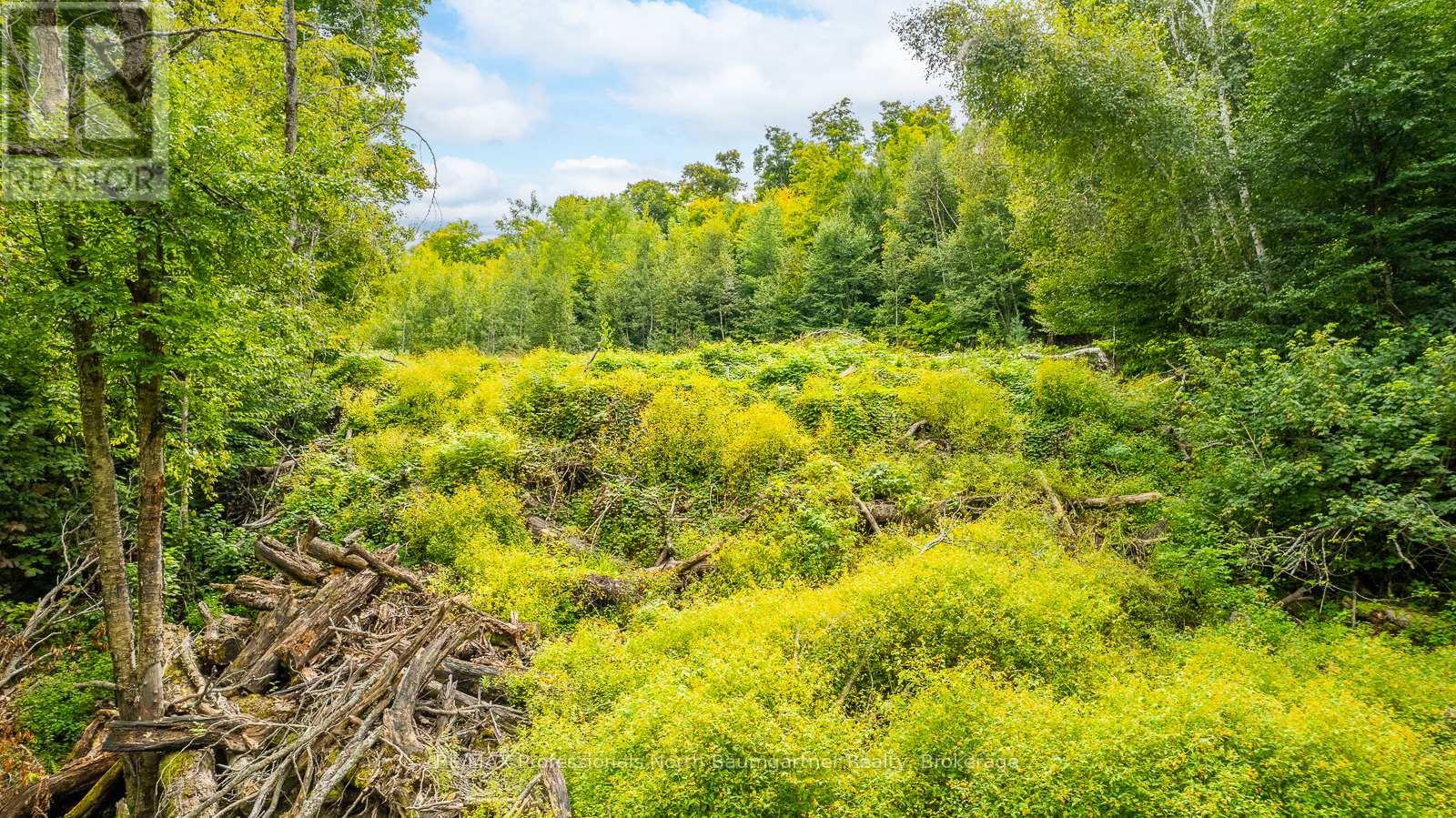 0 Adeline Trail, Dysart Et Al (Guilford), Ontario  K0M 1S0 - Photo 7 - X12220289