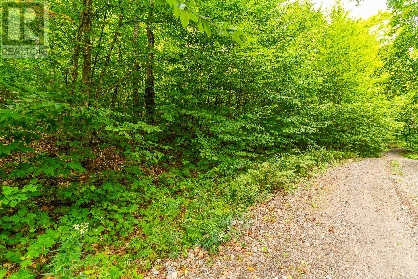 0 Adeline Trail, Dysart Et Al (Guilford), Ontario  K0M 1S0 - Photo 9 - X12220289