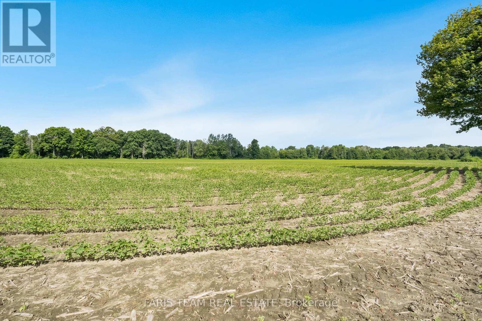 4065 15th Line, Innisfil, Ontario  L0L 1L0 - Photo 4 - N12220063