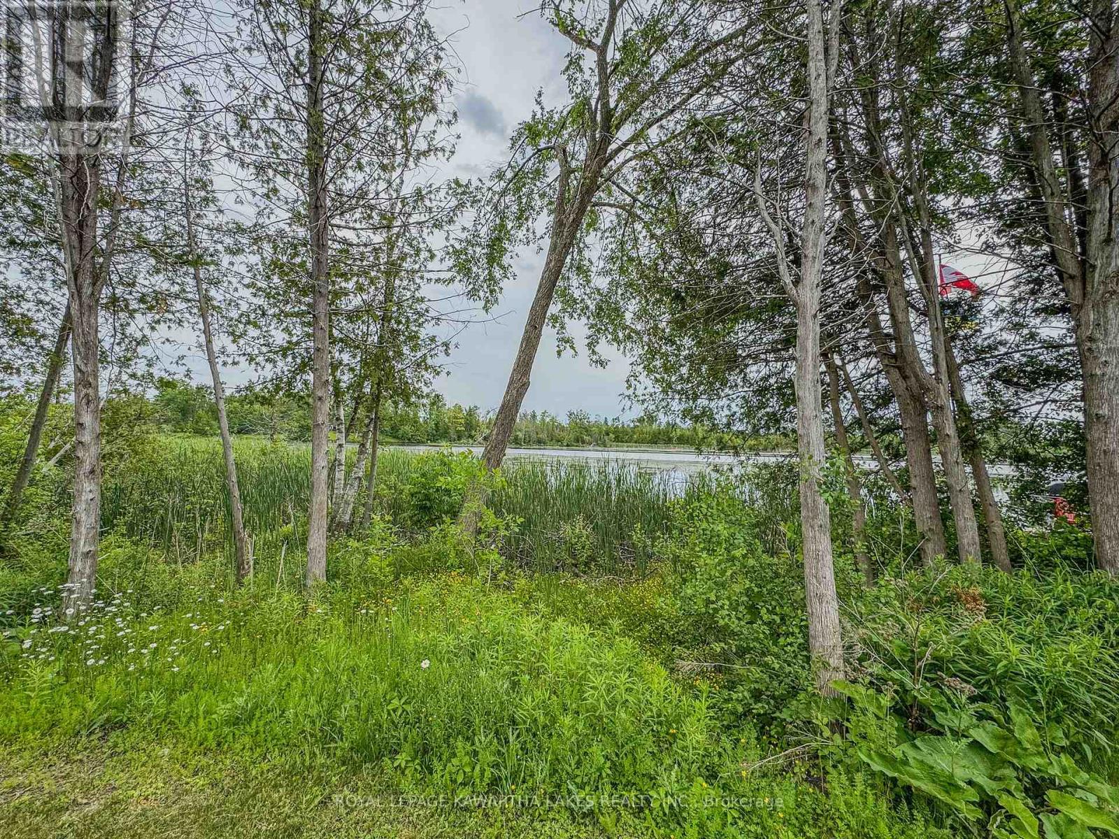 Wv19 - 657 Thunder Bridge Road, Kawartha Lakes, Ontario  K9V 4R1 - Photo 22 - X12220393