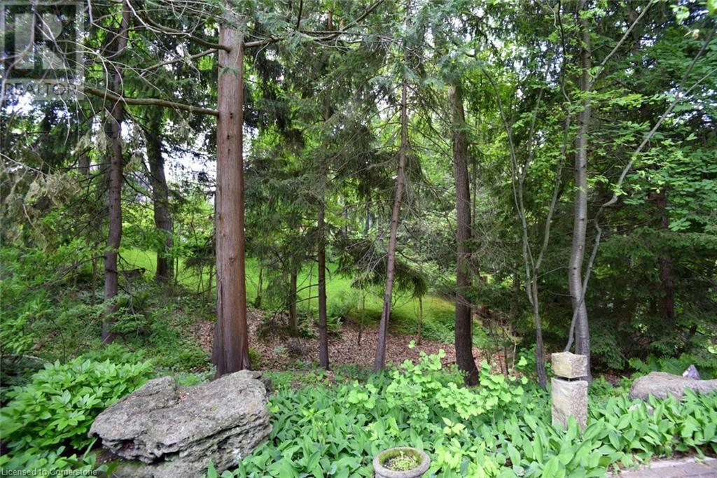 11 Oak Knoll Drive, Hamilton, Ontario  L8S 4C2 - Photo 44 - 40740763
