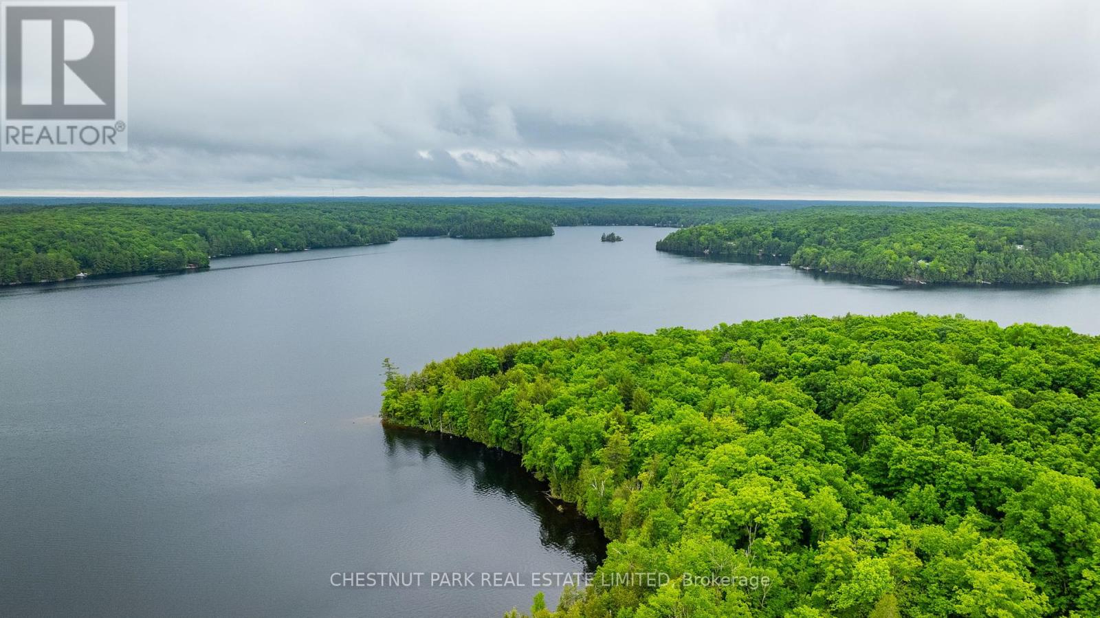 1601 Claude Brown Road, Minden Hills (Anson), Ontario  K0M 2K0 - Photo 37 - X12218410