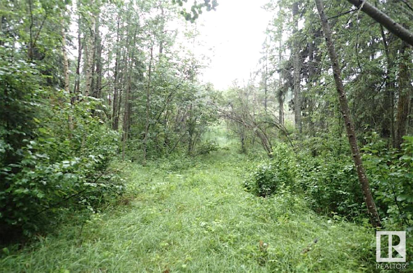 585a Rge Rd 232, Rural Thorhild County, Alberta  T0A 2R0 - Photo 4 - E4442397