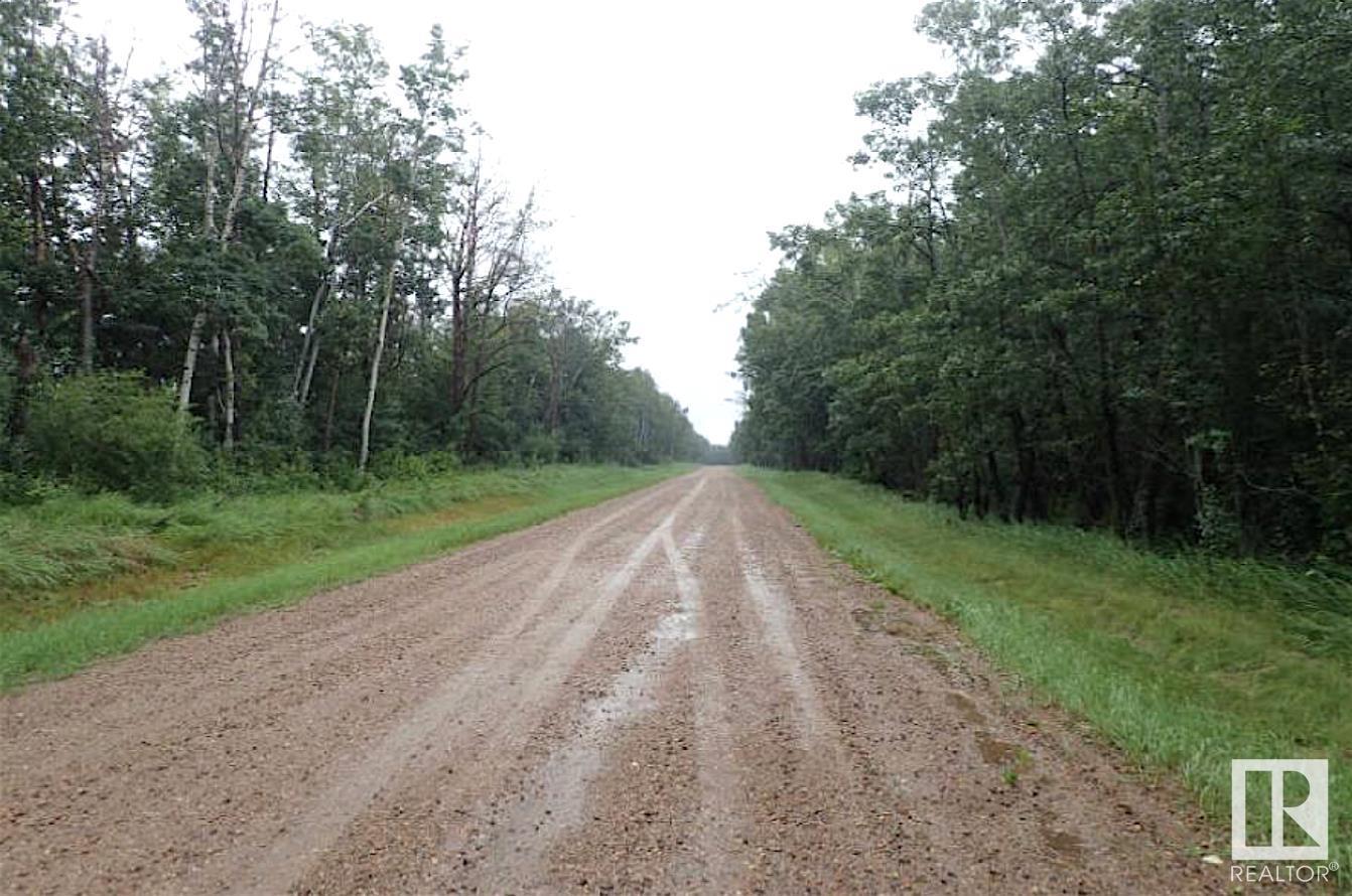 585a Rge Rd 232, Rural Thorhild County, Alberta  T0A 2R0 - Photo 5 - E4442397
