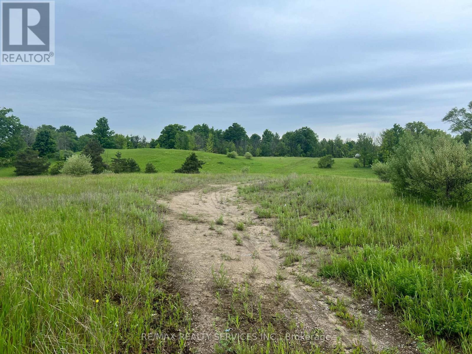 10054 Highway 9, Adjala-Tosorontio, Ontario  L0N 1P0 - Photo 5 - N12220587