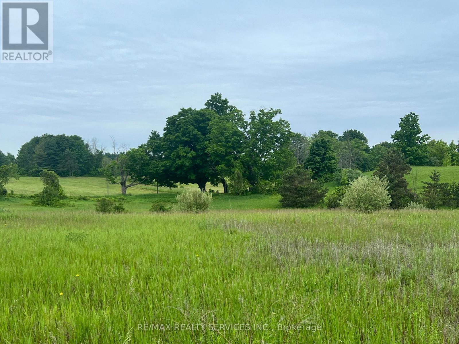 10054 Highway 9, Adjala-Tosorontio, Ontario  L0N 1P0 - Photo 6 - N12220587
