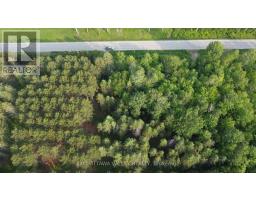 00 PAPPIN ROAD N, Whitewater Region, Ontario