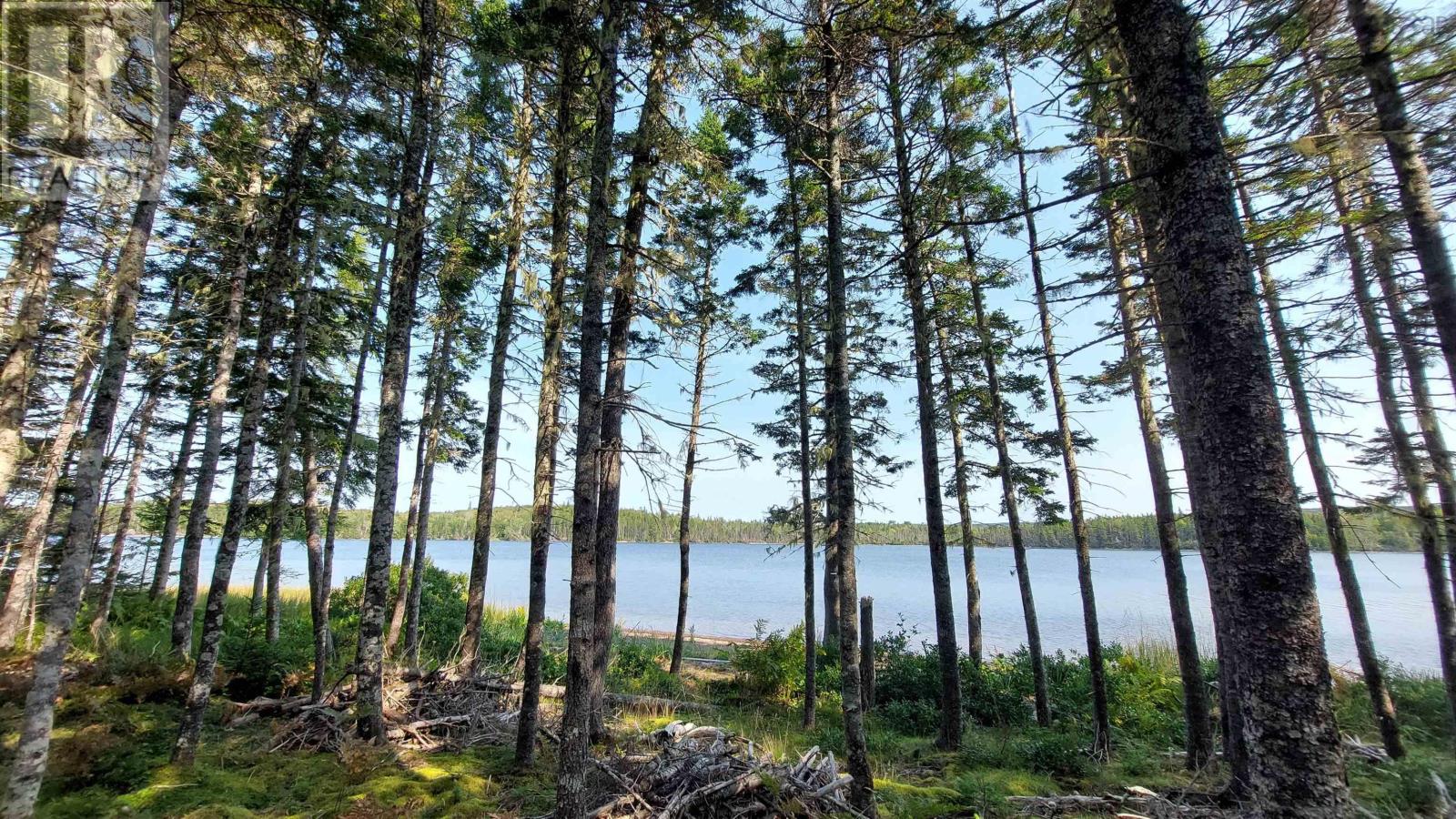 Lot 25 Pia Kaestner Lane, Hay Cove, Nova Scotia  B0E 3B0 - Photo 9 - 202500455