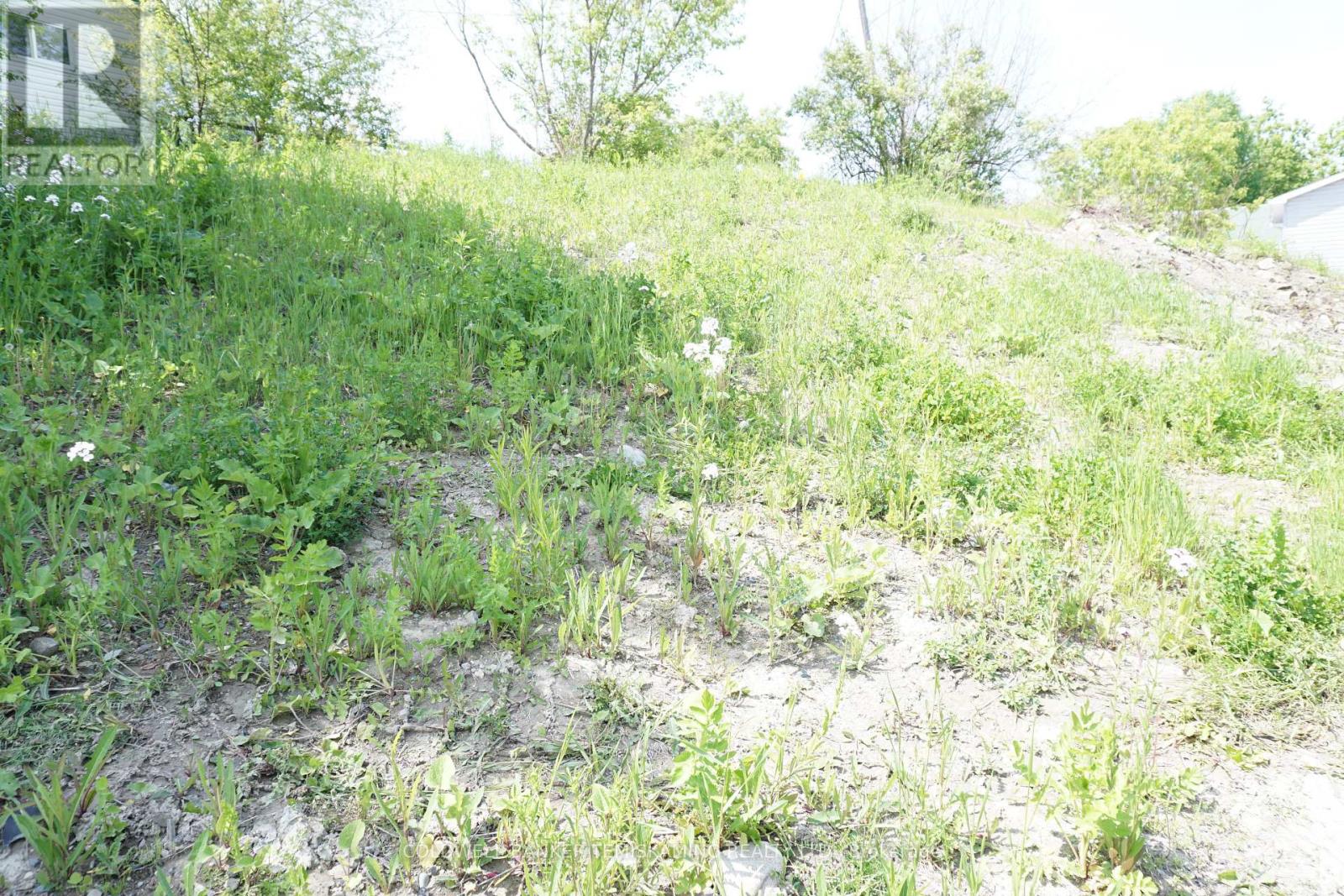 93 Jamieson Street, Cobalt, Ontario P0J 1C0 - Photo 2 - T12192051