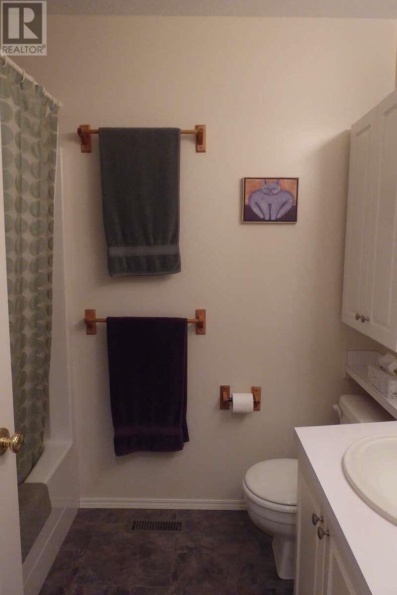 1510 Cedar Street, Golden, British Columbia  V0A 1H6 - Photo 23 - 10352278