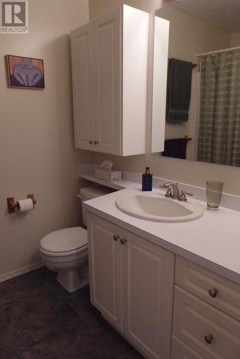 1510 Cedar Street, Golden, British Columbia  V0A 1H6 - Photo 24 - 10352278