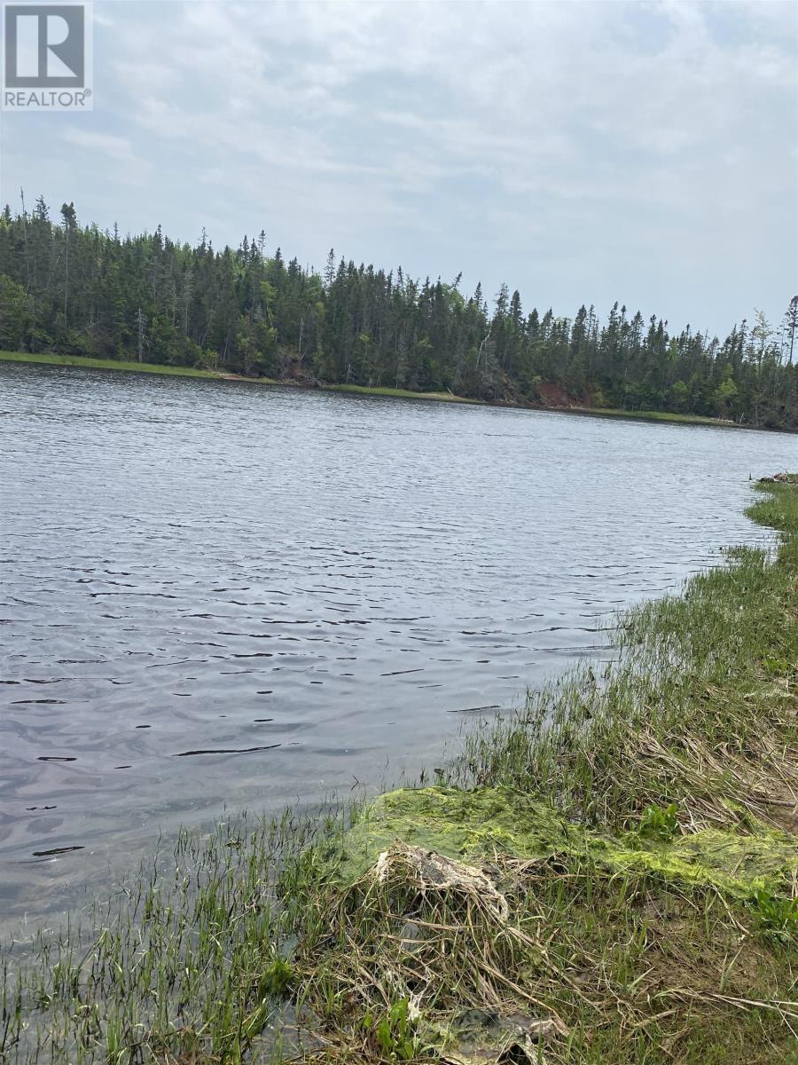 2249 Route 2, Fortune Bridge, Prince Edward Island  C0A 2B0 - Photo 3 - 202501386