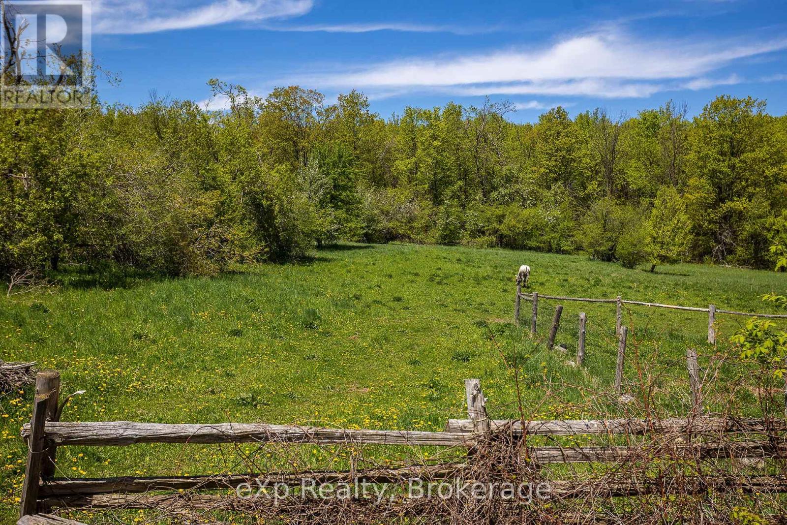 58111 12th Line, Meaford, Ontario  N4L 1W5 - Photo 39 - X12218736