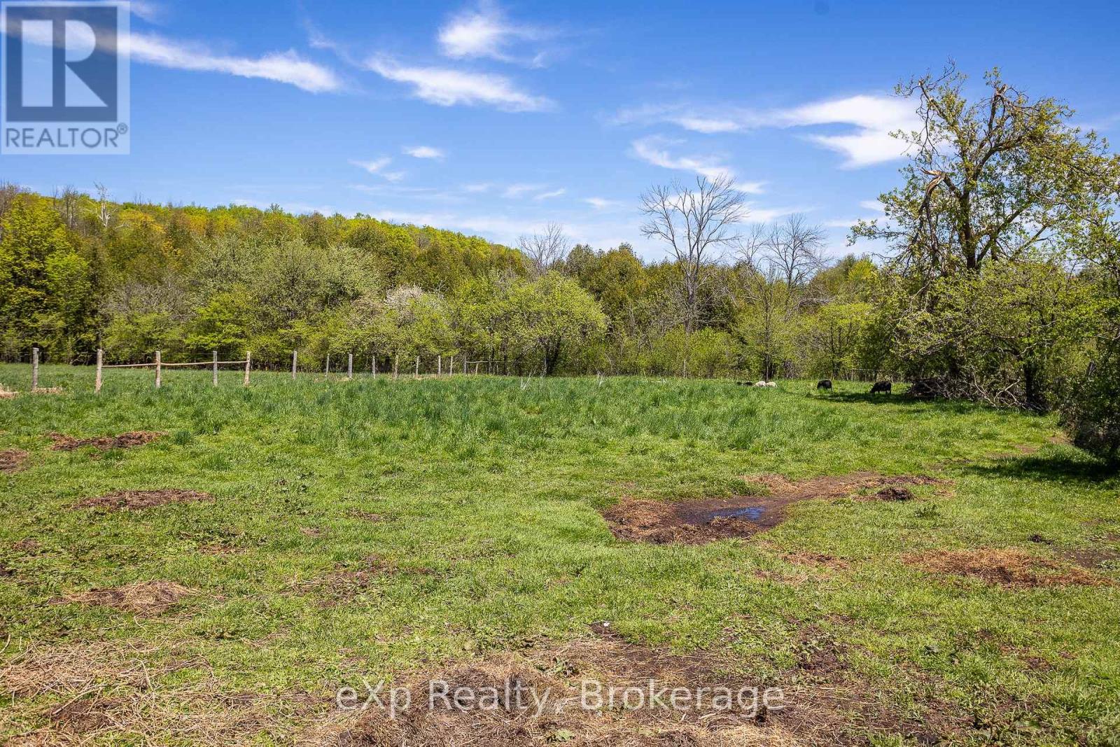 58111 12th Line, Meaford, Ontario  N4L 1W5 - Photo 44 - X12218736