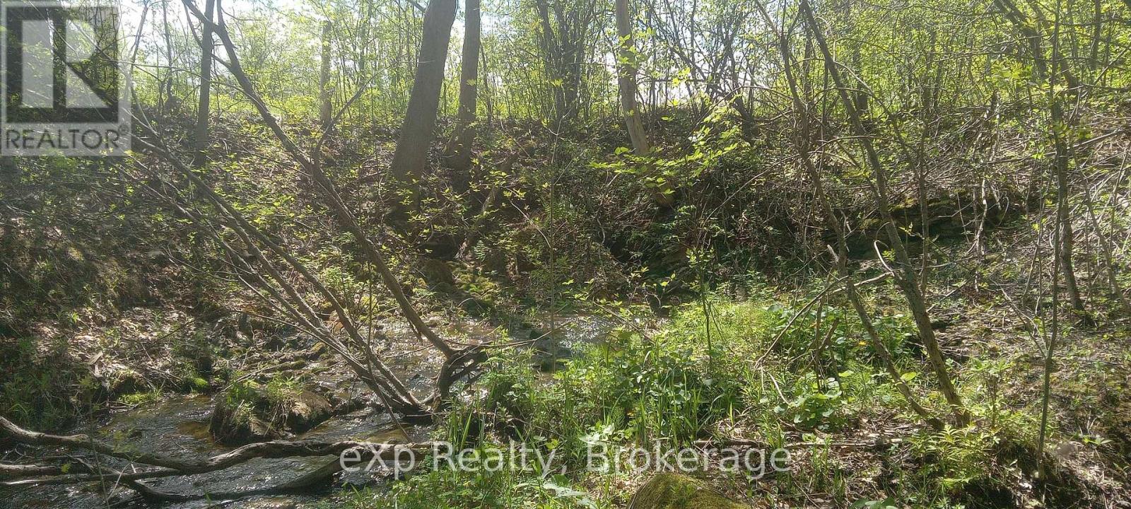 58111 12th Line, Meaford, Ontario  N4L 1W5 - Photo 42 - X12218736