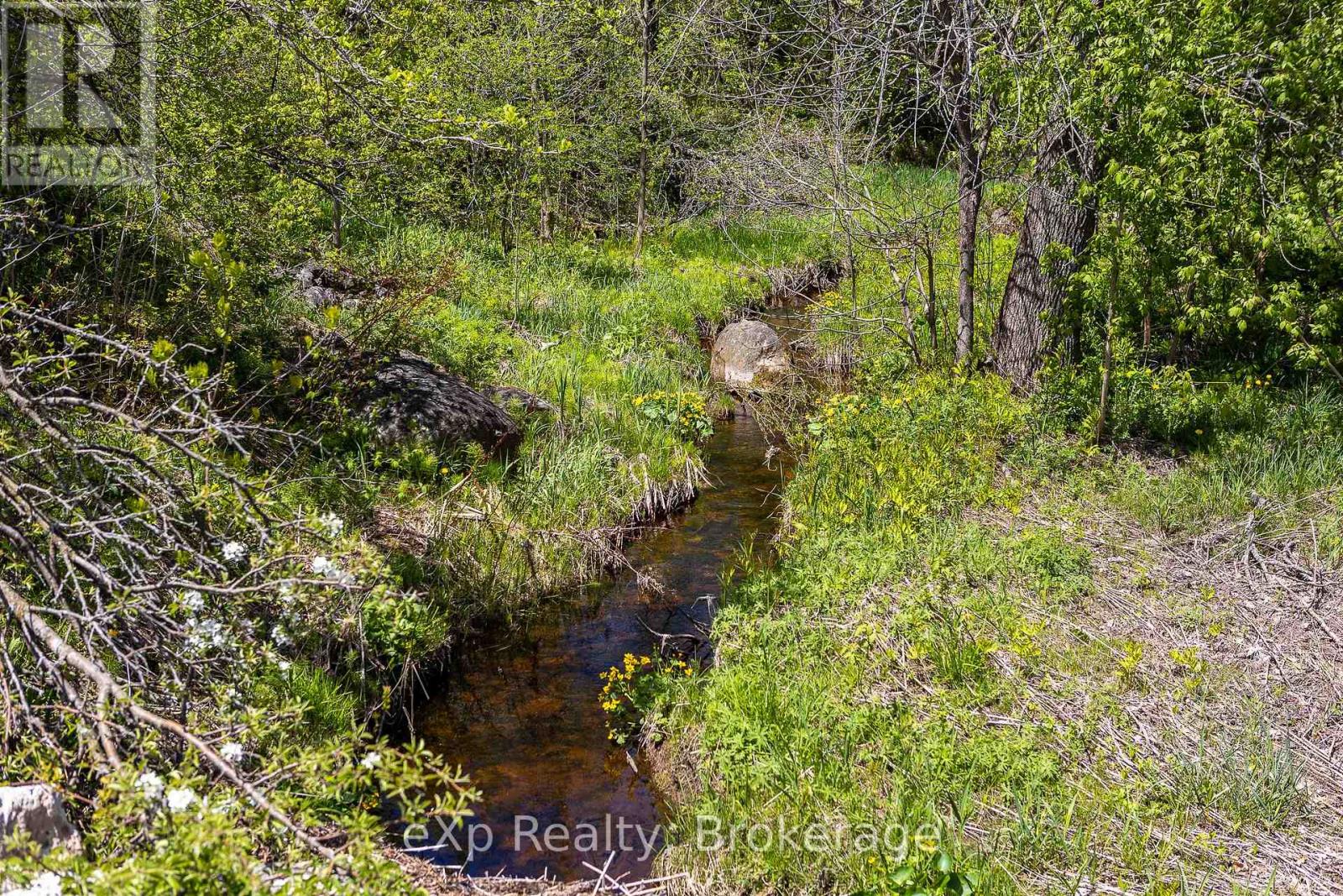 58111 12th Line, Meaford, Ontario  N4L 1W5 - Photo 40 - X12218736