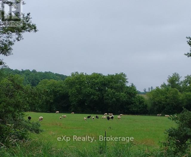 58111 12th Line, Meaford, Ontario  N4L 1W5 - Photo 45 - X12218736
