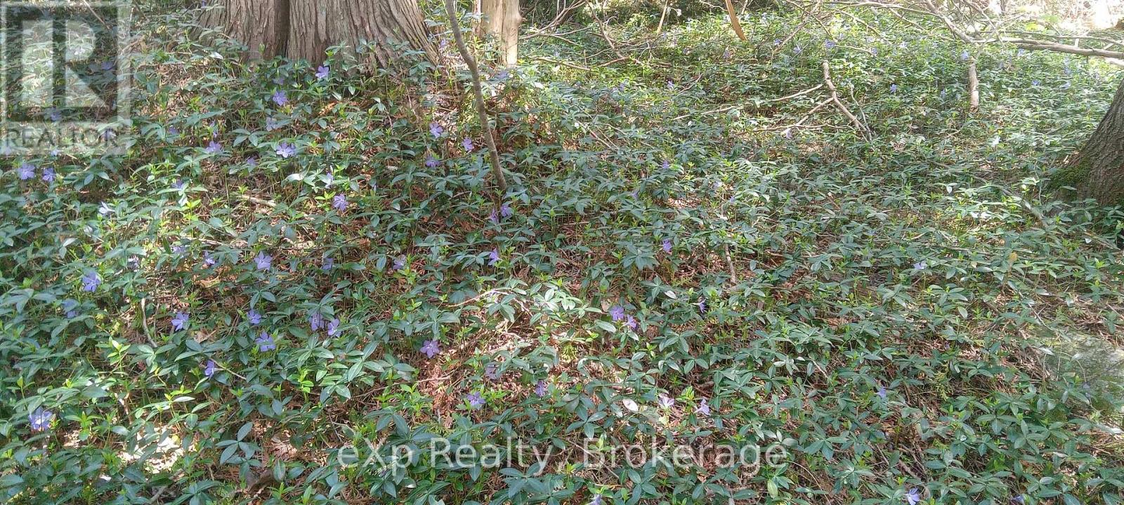 58111 12th Line, Meaford, Ontario  N4L 1W5 - Photo 43 - X12218736