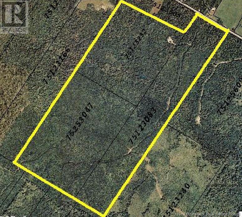 327 Maple Grove Road, Maple Grove, New Brunswick  E6B 2B5 - Photo 9 - NB119745