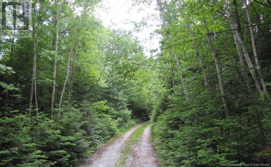 327 Maple Grove Road, Maple Grove, New Brunswick  E6B 2B5 - Photo 3 - NB119745