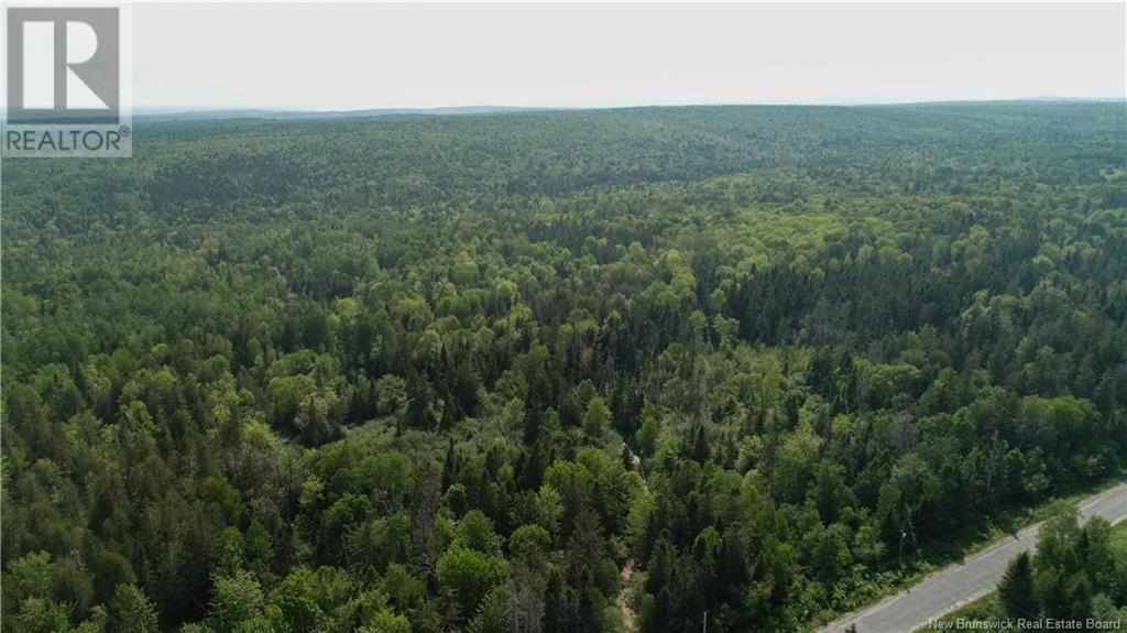 327 Maple Grove Road, Maple Grove, New Brunswick  E6B 2B5 - Photo 37 - NB119745