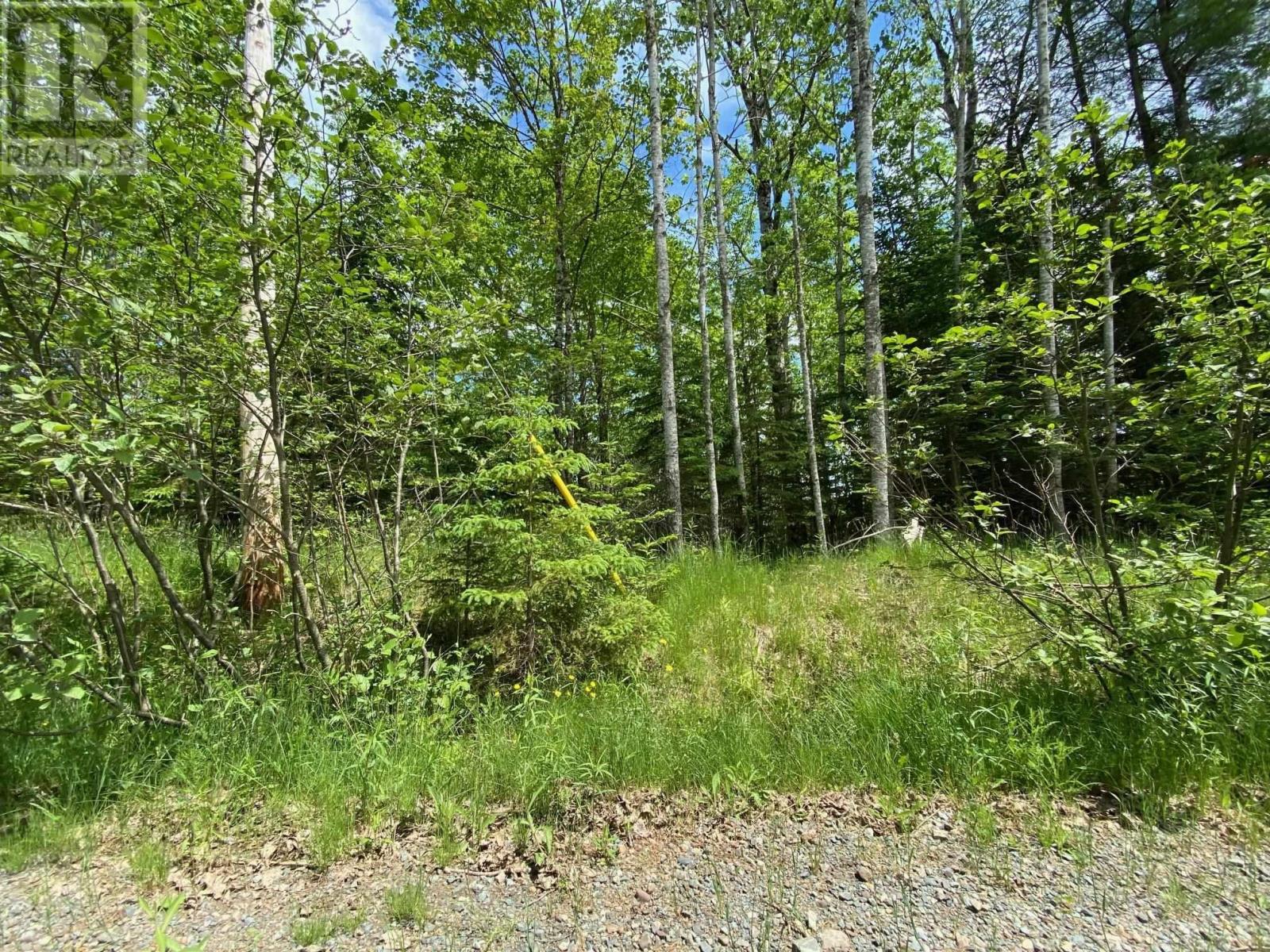 Lot 2 Butler Road, Lake Egmont, Nova Scotia  B0N 2H0 - Photo 2 - 202313694