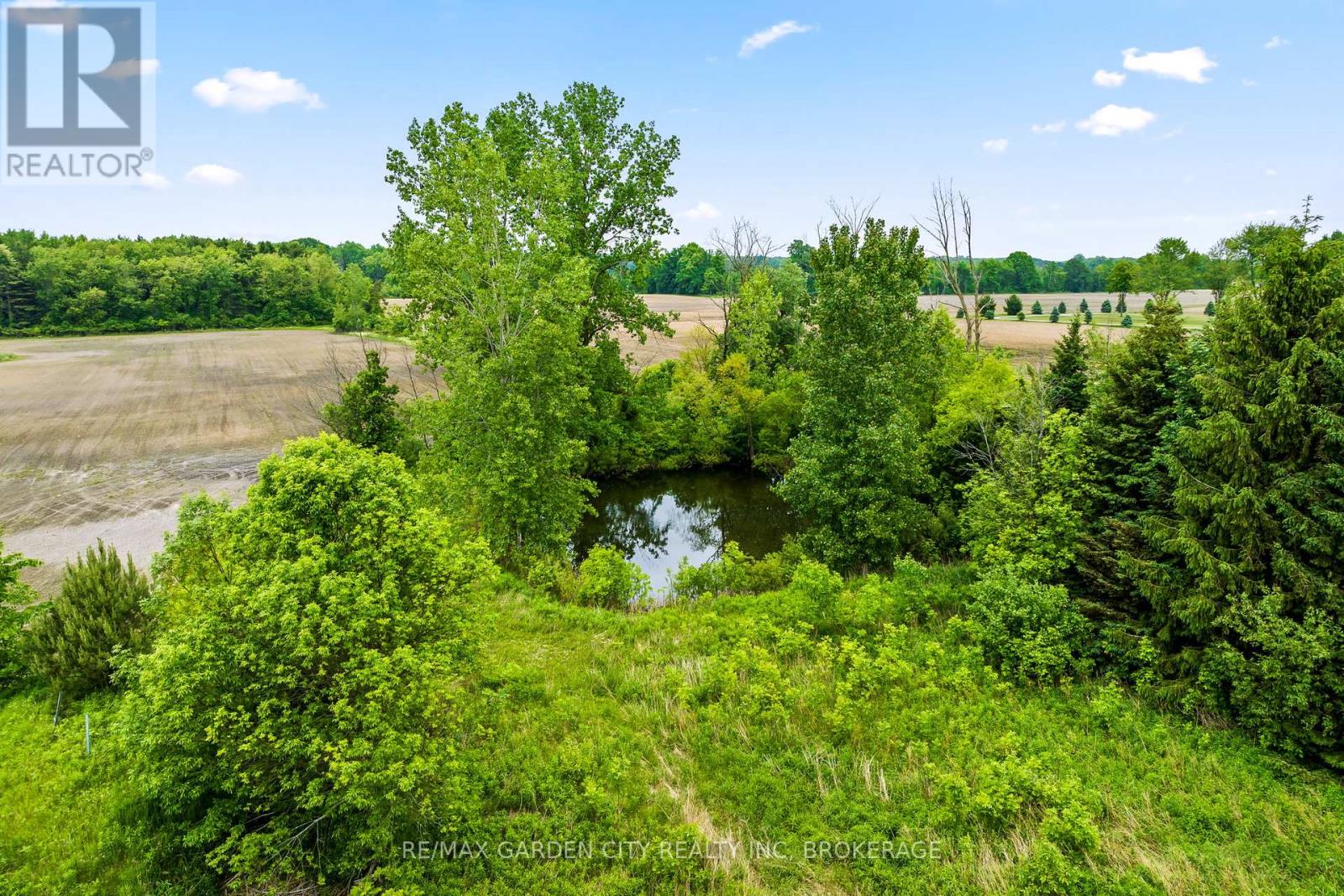 53825 Zion Road, Wainfleet, Ontario  L0S 1V0 - Photo 33 - X12221277