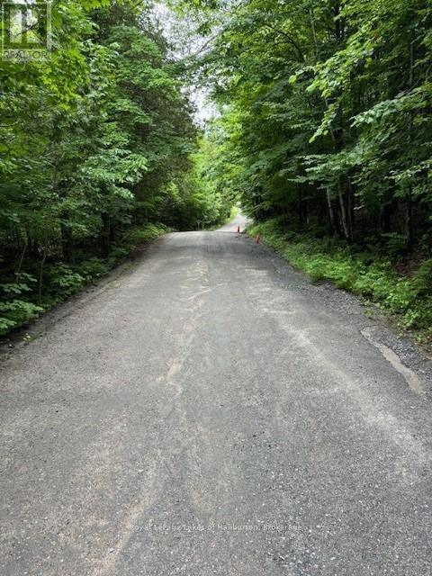 Lot 70 25th Line, Algonquin Highlands (Stanhope), Ontario  K0M 1J1 - Photo 10 - X12221525