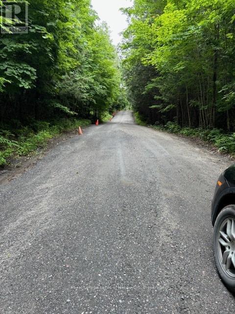 Lot 70 25th Line, Algonquin Highlands (Stanhope), Ontario  K0M 1J1 - Photo 11 - X12221525