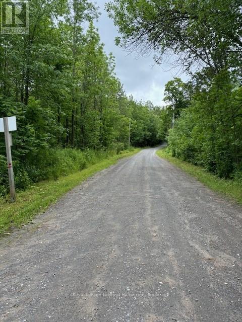 Lot 70 25th Line, Algonquin Highlands (Stanhope), Ontario  K0M 1J1 - Photo 2 - X12221525