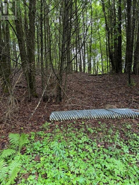 Lot 70 25th Line, Algonquin Highlands (Stanhope), Ontario  K0M 1J1 - Photo 3 - X12221525