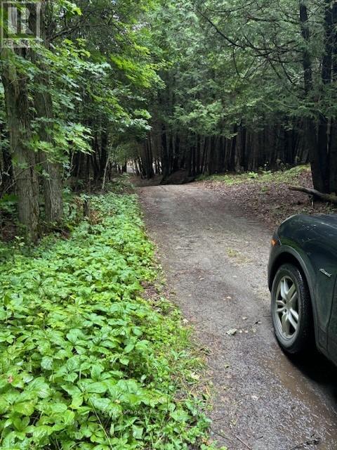 Lot 70 25th Line, Algonquin Highlands (Stanhope), Ontario  K0M 1J1 - Photo 4 - X12221525